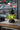 LANTERN MOSAIC LAMP